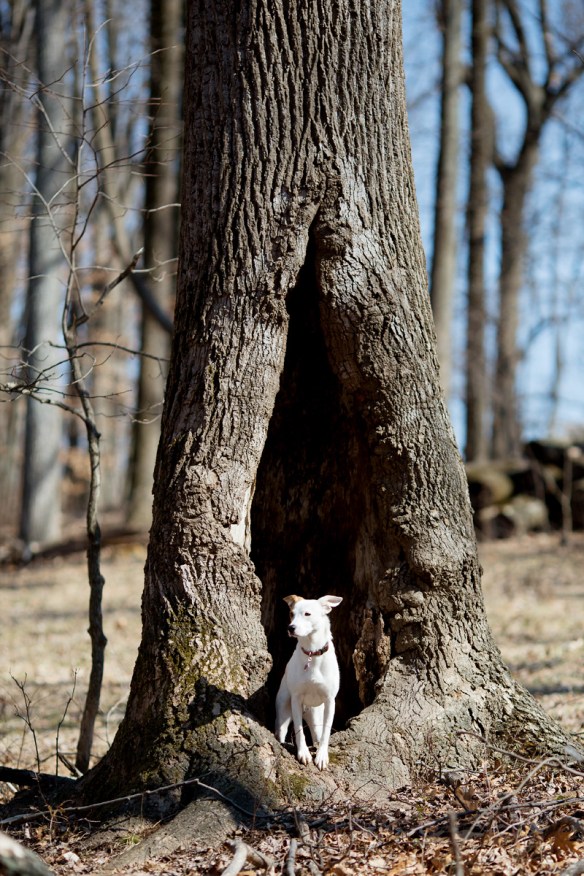 bl20130224_Walkabout_046