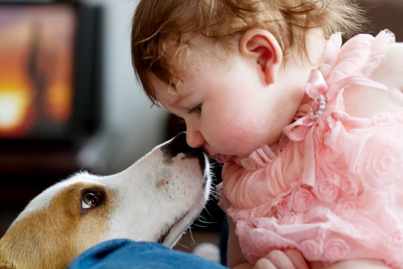 Mom wanted me to tell you dad took this photo. She takes the other pictures on my dlog and she wants to be sure other people who give me pictures get credit for it.