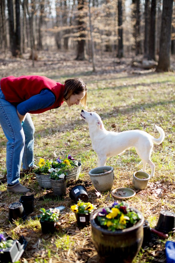 20130323_Planting Pansies_014