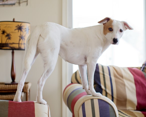 20130413_Rehoboth_011