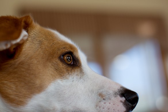 20130413_Rehoboth_028