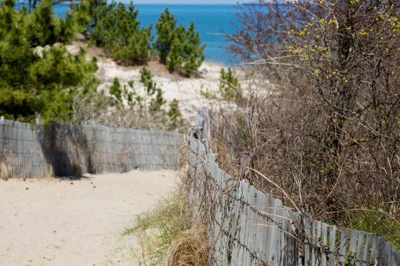 20130414_Rehoboth_101