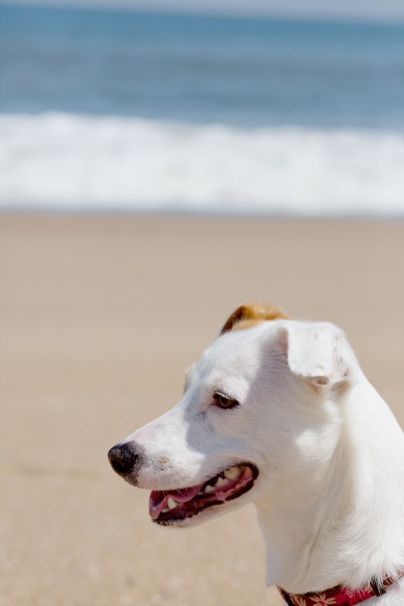 20130414_Rehoboth_110