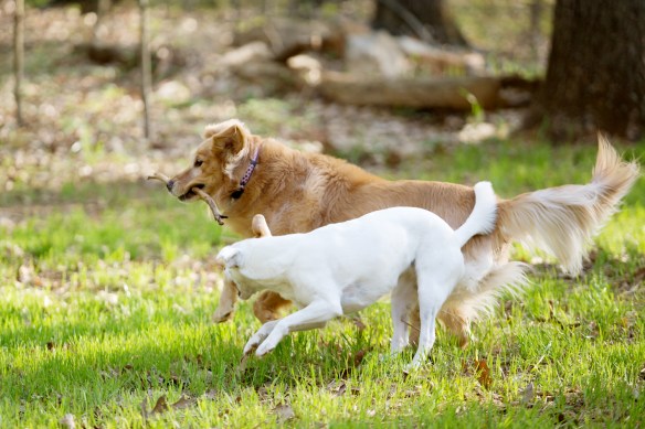 20130423_Sol Ellie Playdate_002