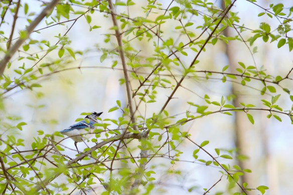 20130423_Sol Ellie Playdate_007