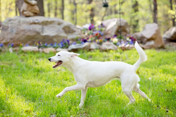 20130423_Sol Ellie Playdate_026