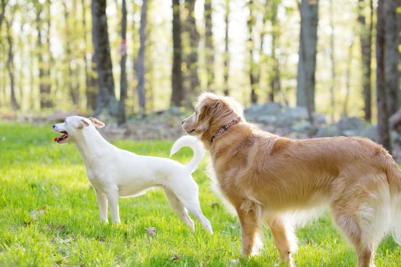 20130423_Sol Ellie Playdate_032