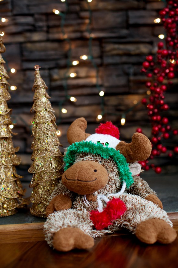 20131215_Sol Christmas Card_57