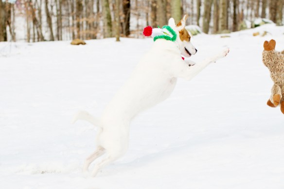 20131215_Sol Christmas Card_89 copy