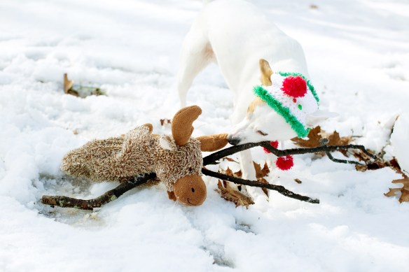 20131215_Sol Christmas Card_99_13 copy