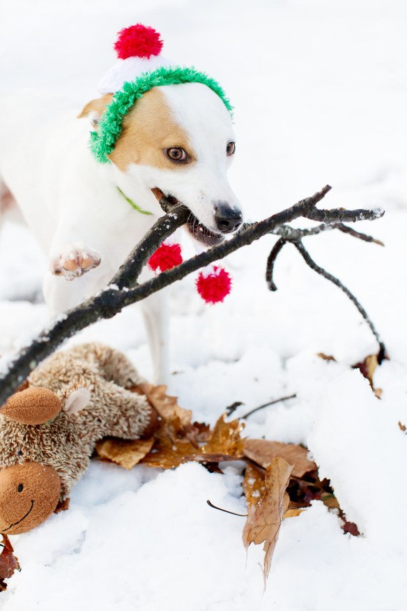 20131215_Sol Christmas Card_99_7